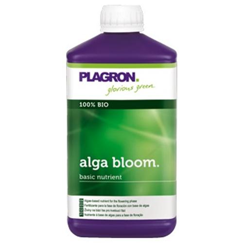 Alga Bloom