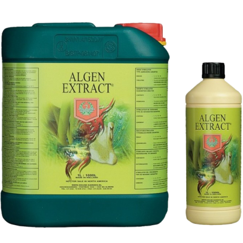 Algen Extract