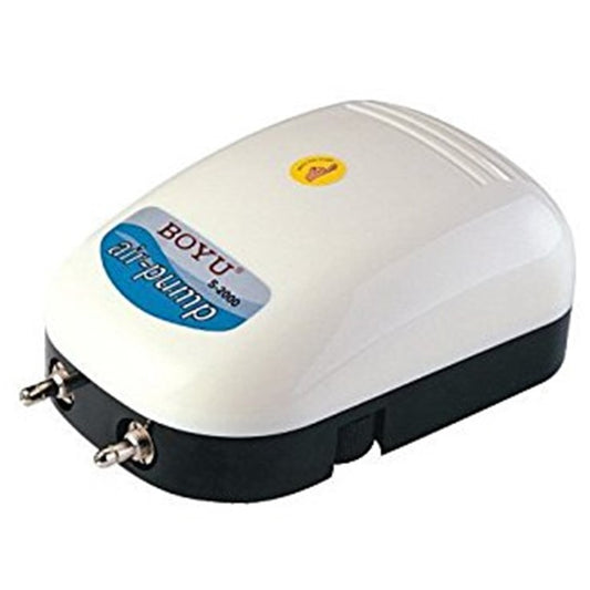 S-2000 2 Way Air Pump