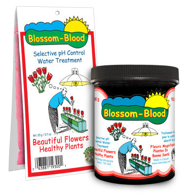 Blossom Blood