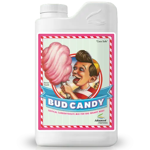 Bud Candy