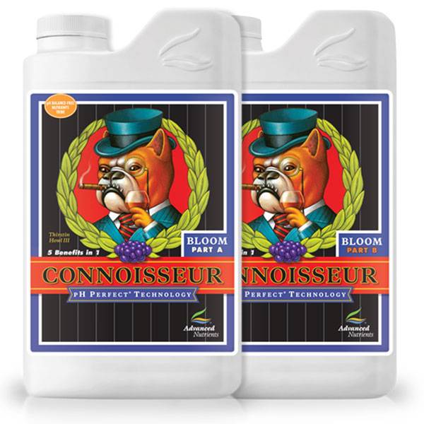 Connoisseur Bloom A&B