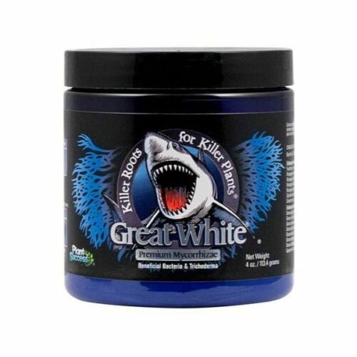 Great White Mycorrhizal