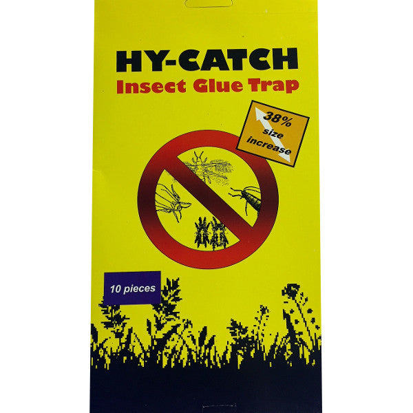 Insect Glue Trap - 10 Pieces