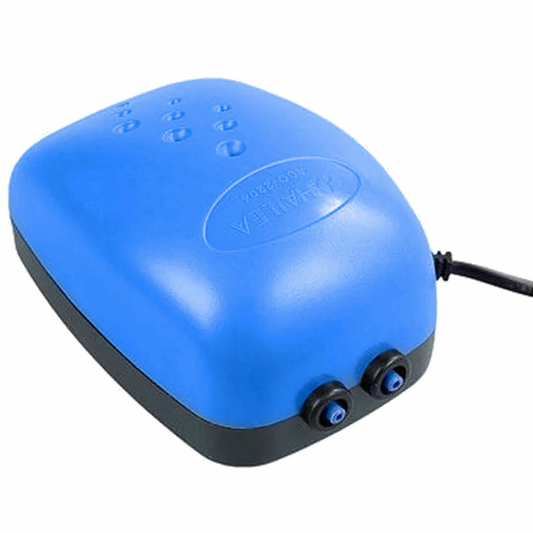 ACO-2204 2 Way Air Pump