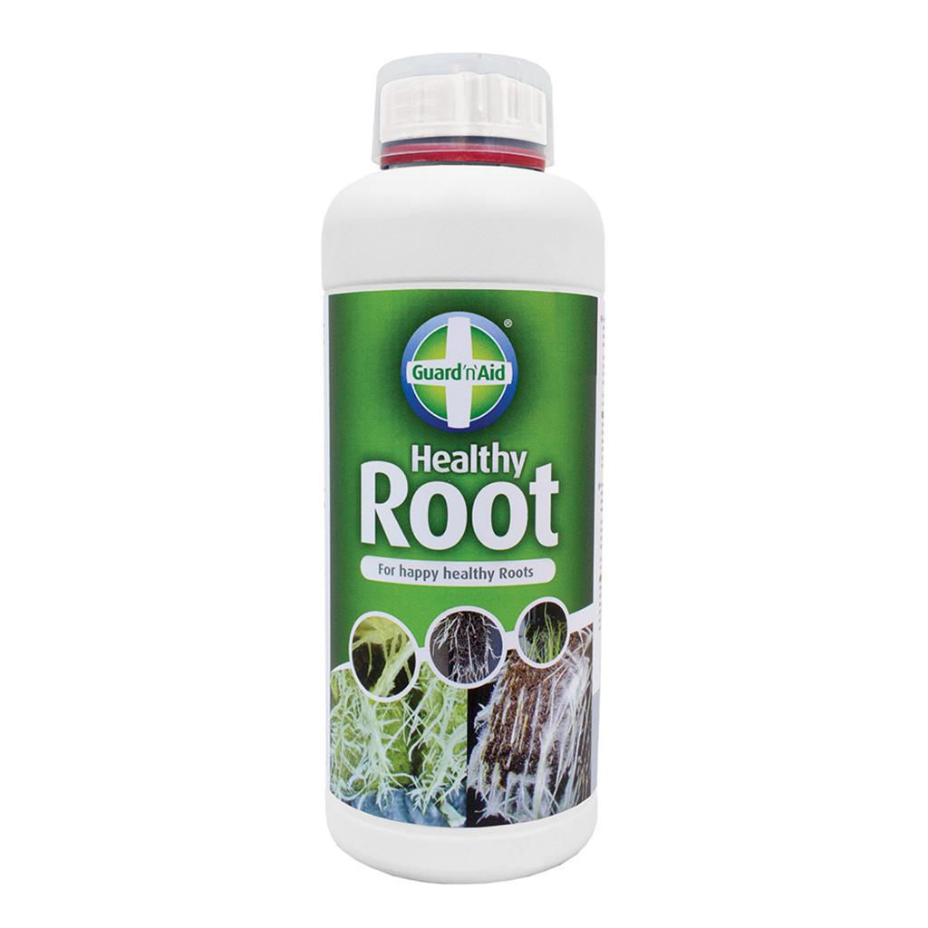 Healthy Root