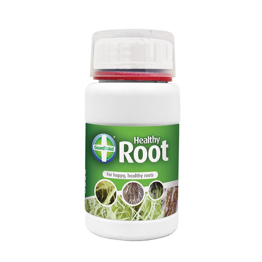 Healthy Root