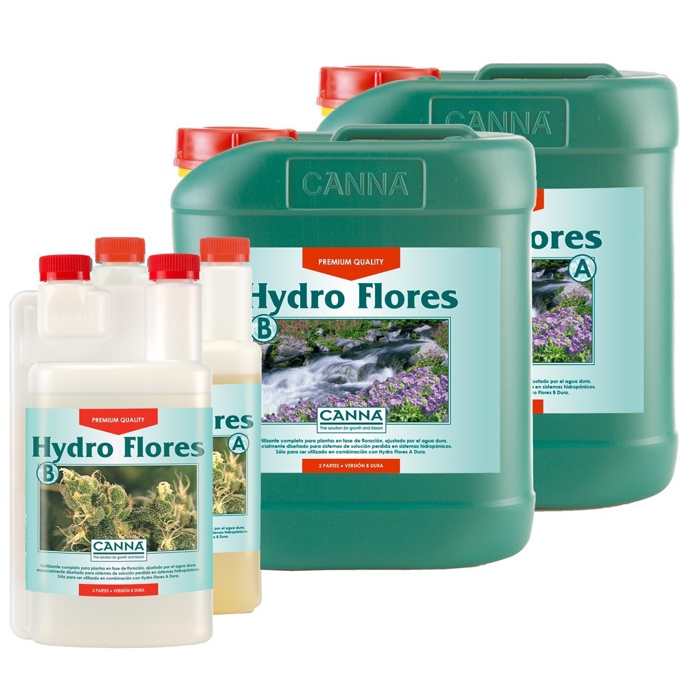 Hydro Flores