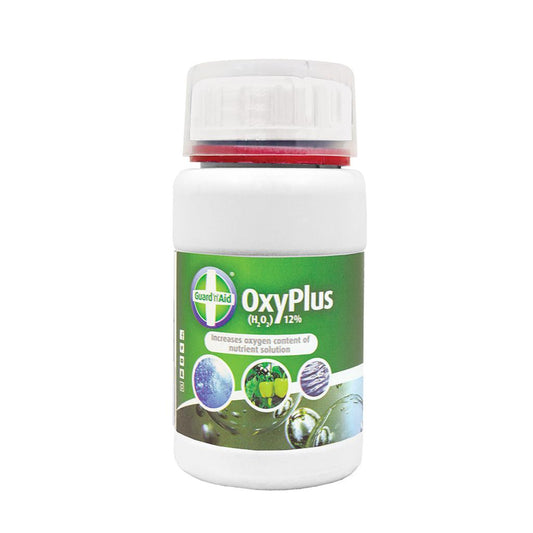 OxyPlus 12%