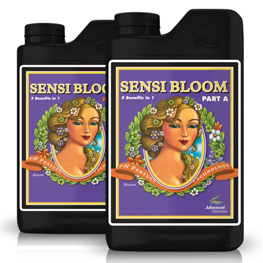 Sensi Bloom A&B