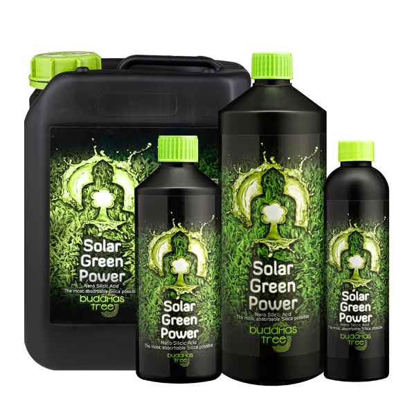 Solar Green Power