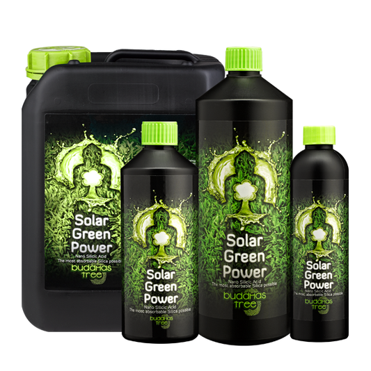 Solar Green Power