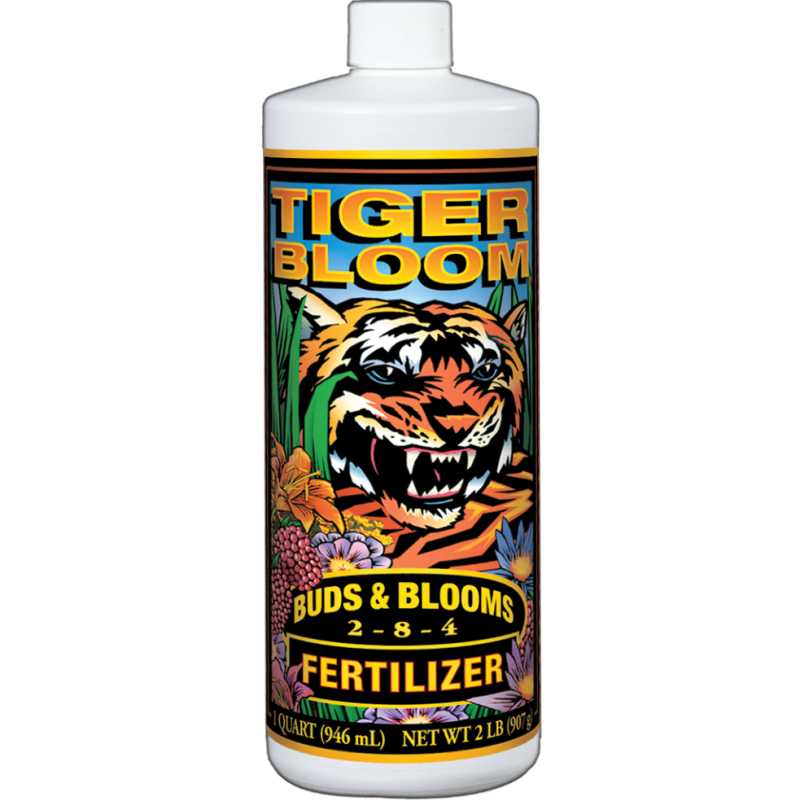 Tiger Bloom