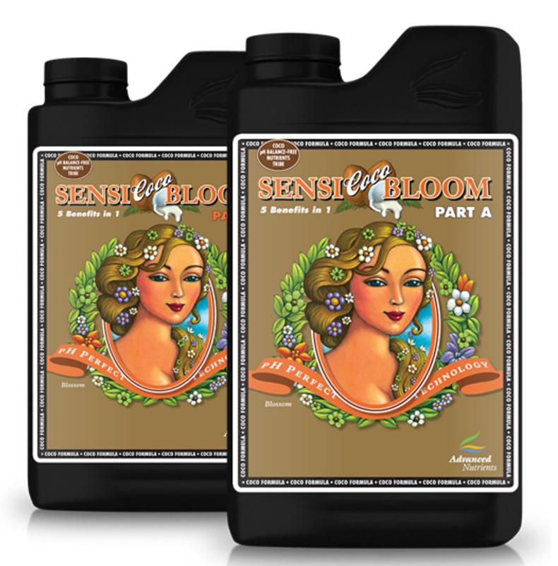 Sensi Coco Bloom A&B